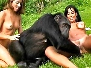 French Amateur zoo